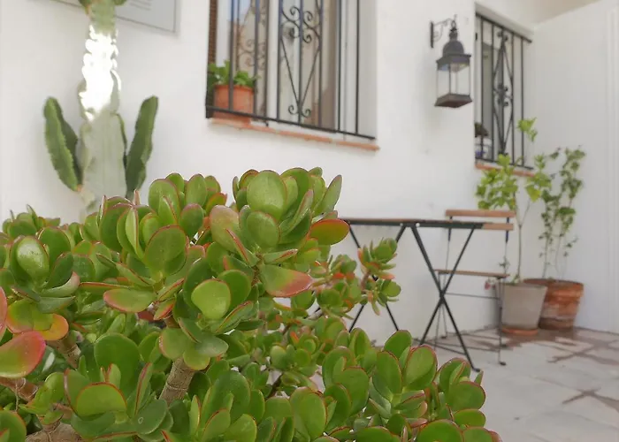 Amplio Y Con Encanto En El Centro Historico アパート タリファ